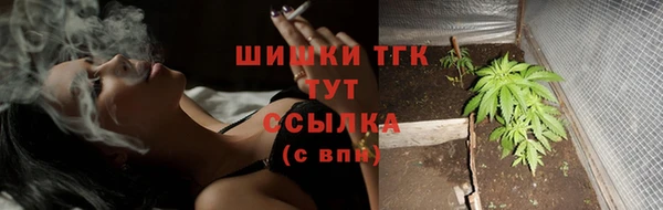 сатива Армянск