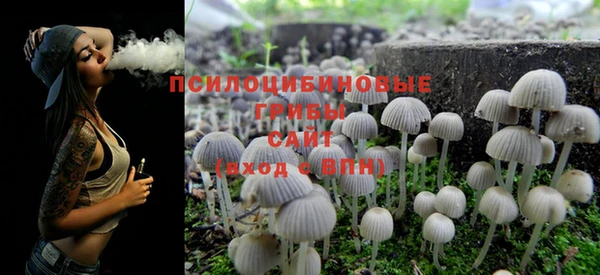 PSILOCYBIN Алексеевка