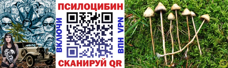 Псилоцибиновые грибы GOLDEN TEACHER  Полысаево 